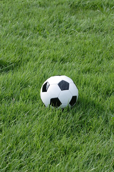 サッカーボール 芝生のフリー素材 無料の写真素材なら Foto Project