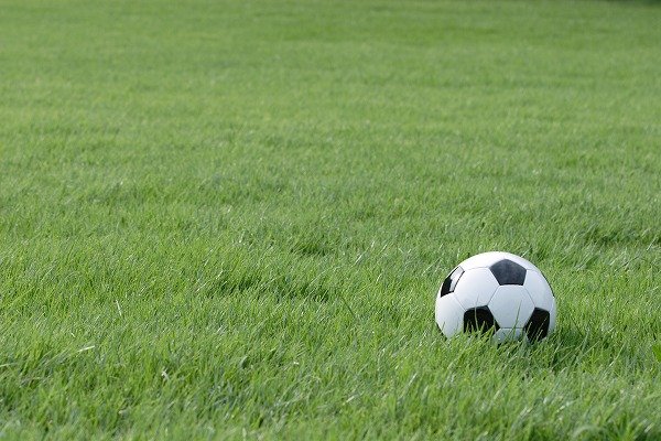 芝生の上のサッカーボールのフリー素材 無料の写真素材なら Foto Project