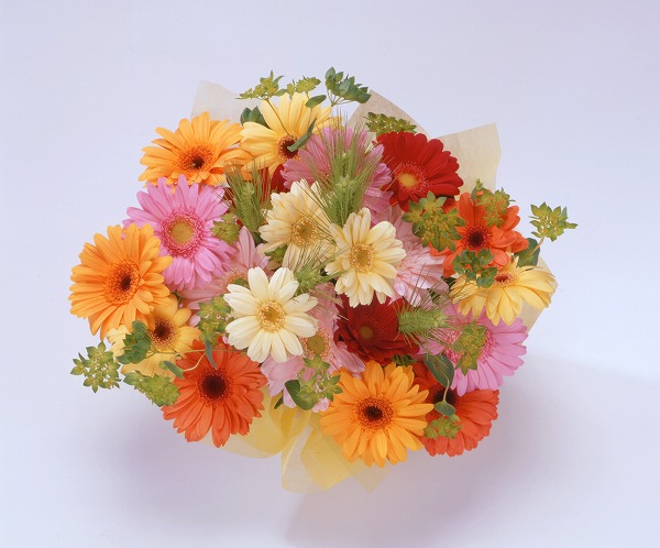 花束 フラワーアレンジメント ガーベラのフリー素材 無料の写真素材なら Foto Project