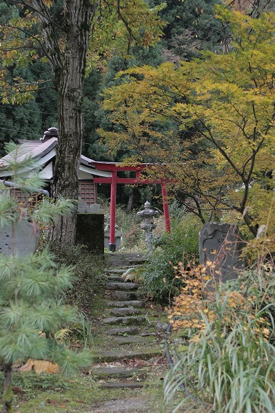 神社 鳥居 紅葉風景のフリー素材 無料の写真素材なら Foto Project