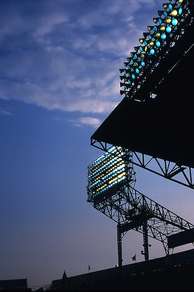 野球場 甲子園球場 ナイター照明のフリー素材 無料の写真素材なら Foto Project