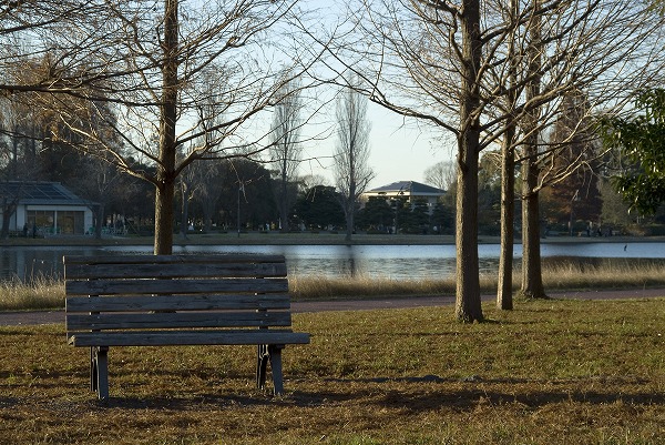 湖畔の公園 ベンチのフリー素材 無料の写真素材なら Foto Project