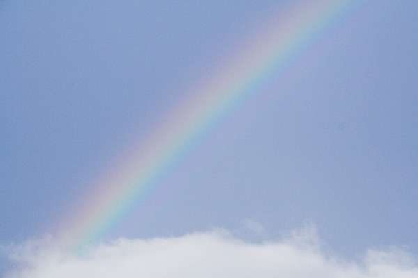 雨上がりの虹と青空のフリー素材 無料の写真素材なら Foto Project