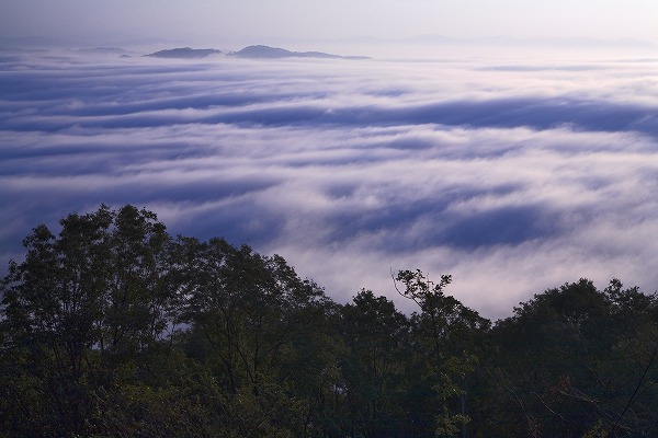山の上からの雲海のフリー素材 無料の写真素材なら Foto Project