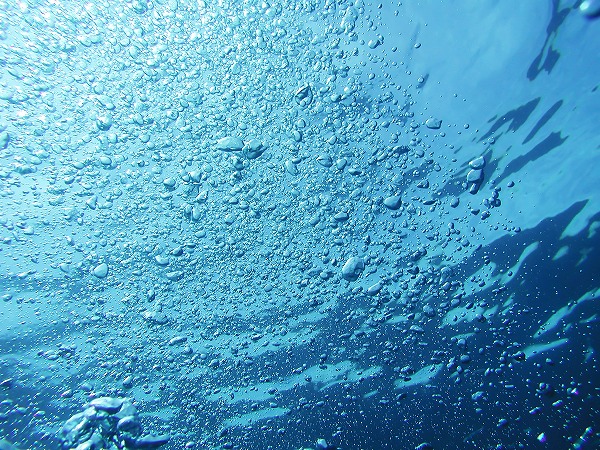海中風景 エアー 気泡 水中イメージのフリー素材 無料の写真素材なら Foto Project