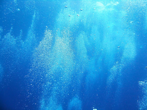 海中風景 エアー 気泡イメージのフリー素材 無料の写真素材なら Foto Project