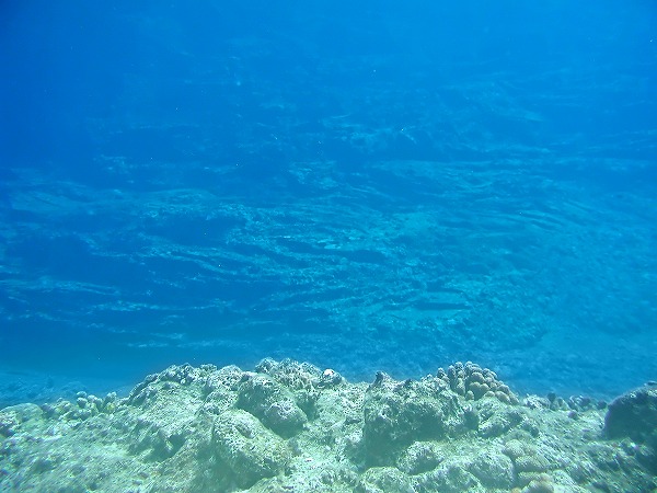 水中写真 珊瑚礁 海底イメージのフリー素材 無料の写真素材なら Foto Project