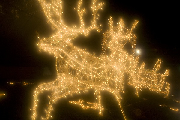 クリスマスイルミネーション トナカイのフリー素材 無料の写真素材なら Foto Project
