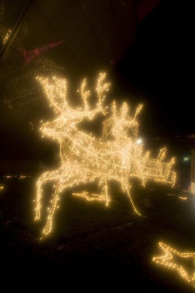 クリスマスイルミネーション トナカイのフリー素材 無料の写真素材なら Foto Project