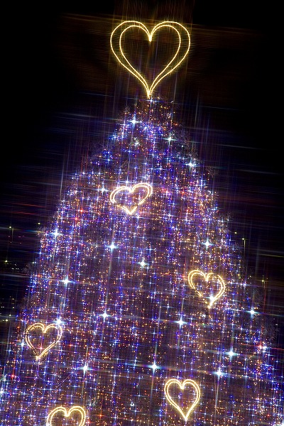 クリスマスツリー イルミネーションのフリー素材 無料の写真素材なら Foto Project