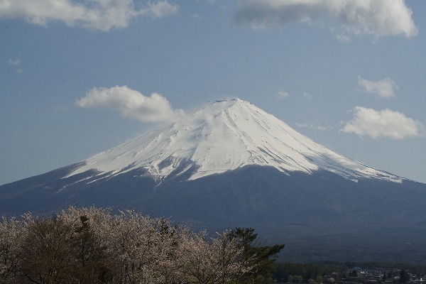 富士山と桜のフリー素材 無料の写真素材なら Foto Project