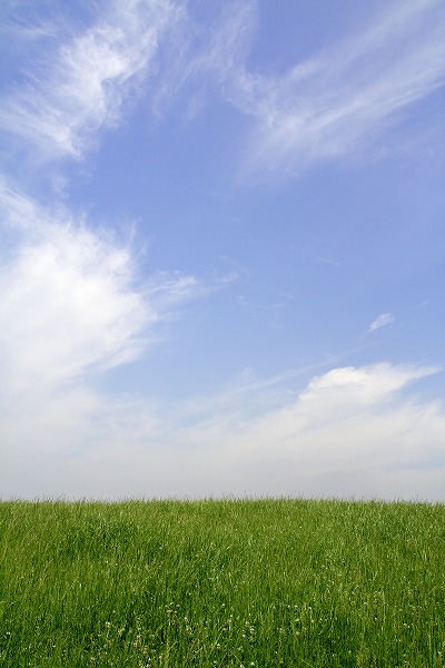 草原と夏の空 青空と丘のフリー素材 無料の写真素材なら Foto Project