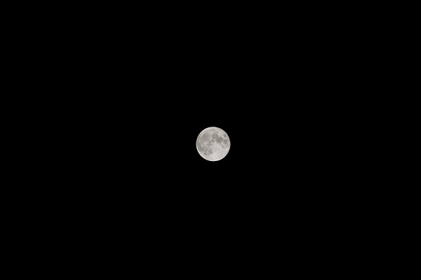 満月 十五夜の月見のフリー素材 無料の写真素材なら Foto Project