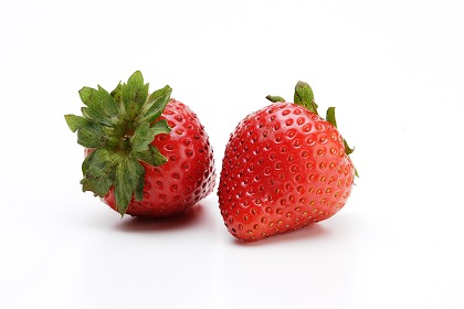 果物・フルーツ＞イチゴ・苺